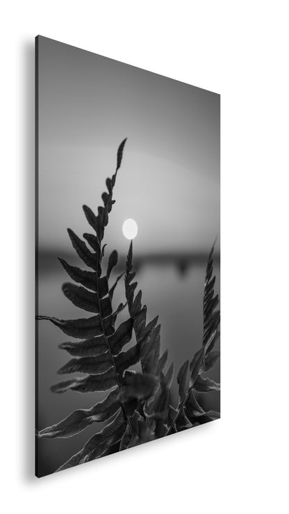 Hauptbild Schwarz & Weiß Standart