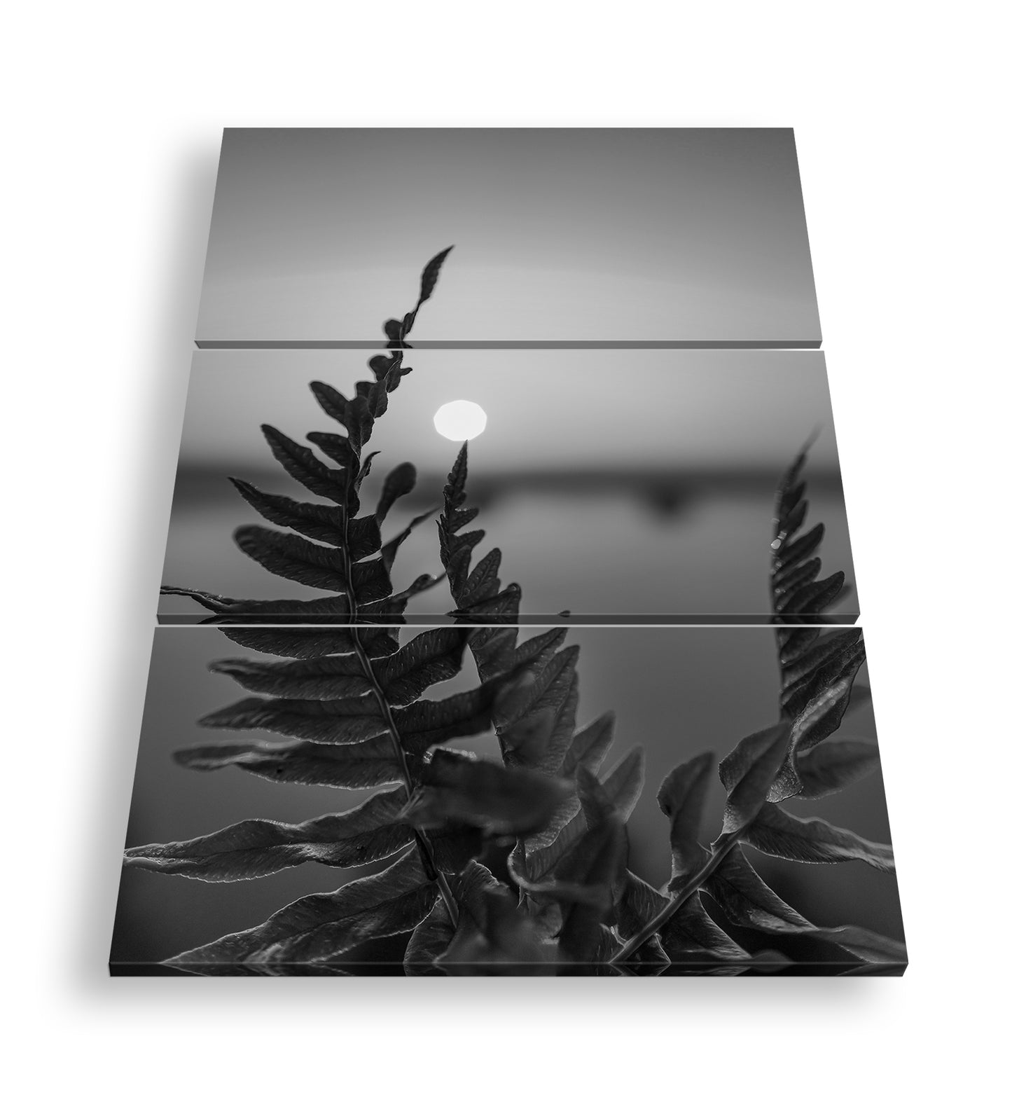 Hauptbild Schwarz & Weiß 3 Teilig