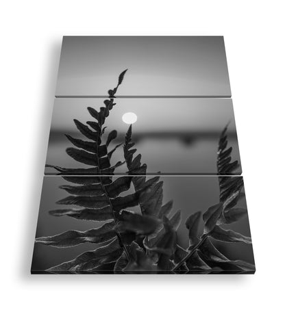 Hauptbild Schwarz & Weiß 3 Teilig