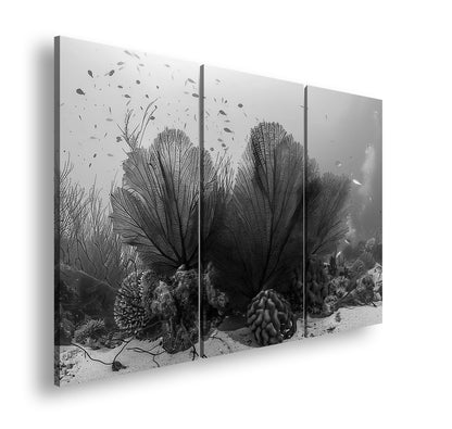 Hauptbild Schwarz & Weiß 3 Teilig