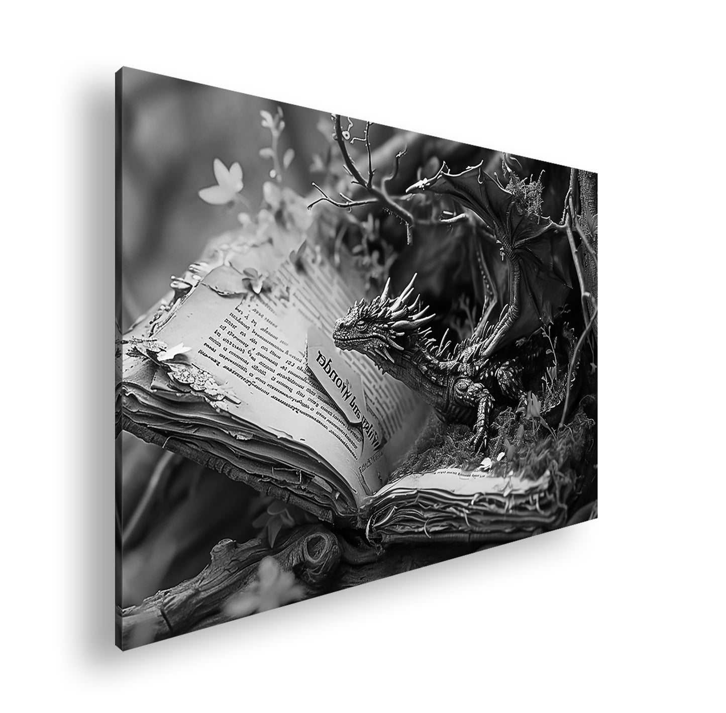 Hauptbild Schwarz & Weiß Standart