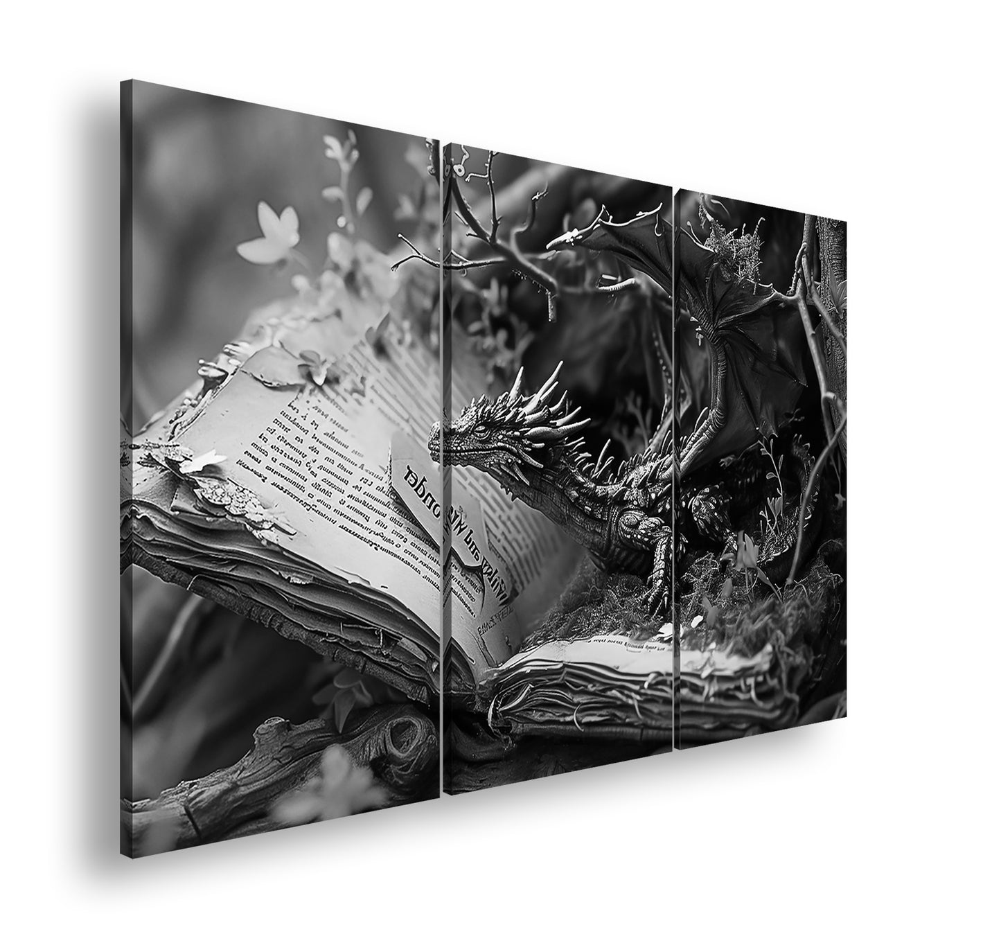 Hauptbild Schwarz & Weiß 3 Teilig