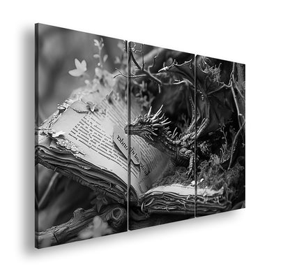 Hauptbild Schwarz & Weiß 3 Teilig