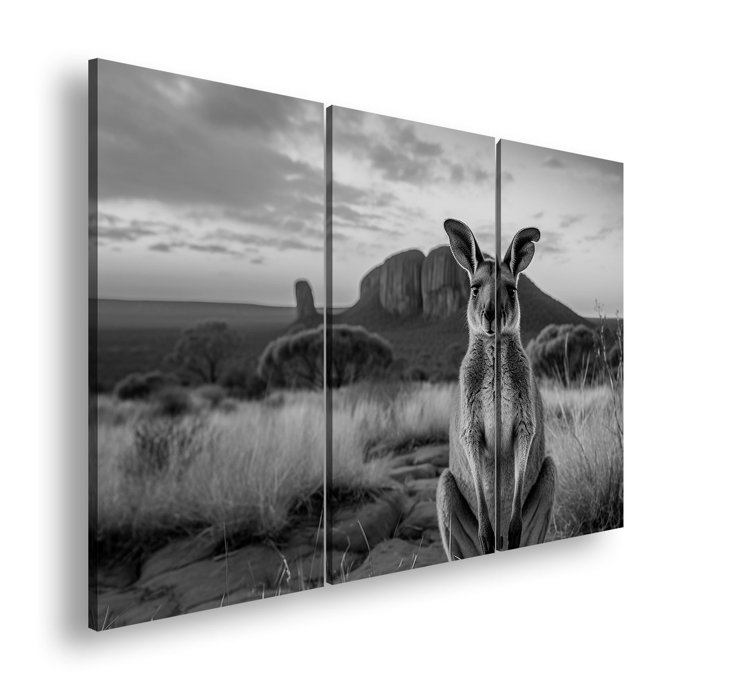 Hauptbild Schwarz & Weiß 3 Teilig