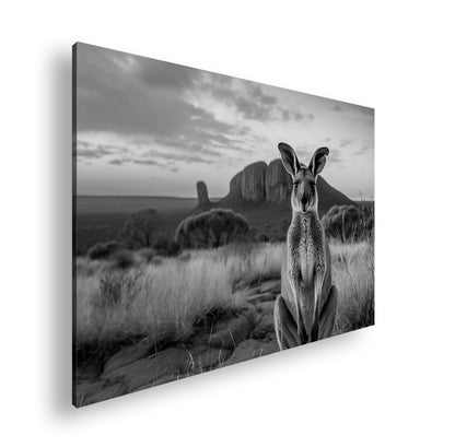 Hauptbild Schwarz & Weiß Standart