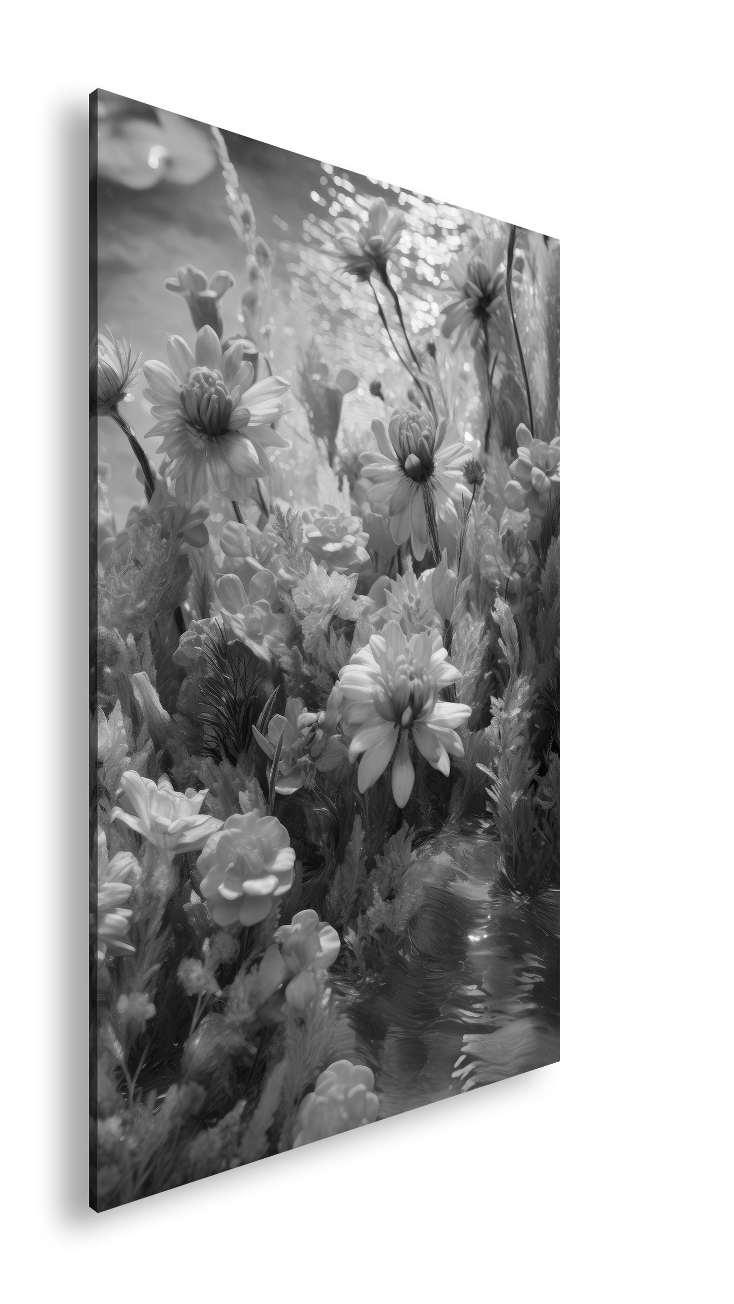 Hauptbild Schwarz & Weiß Standart