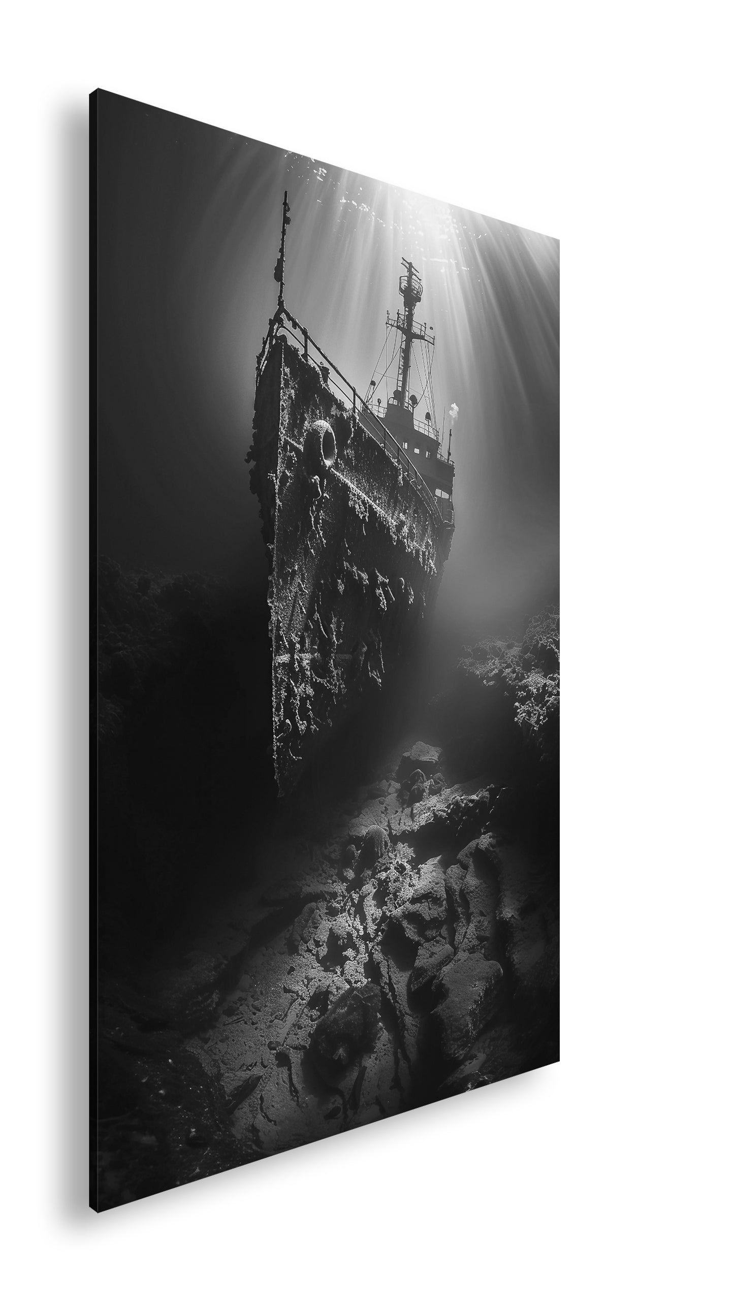 Hauptbild Schwarz & Weiß Standart