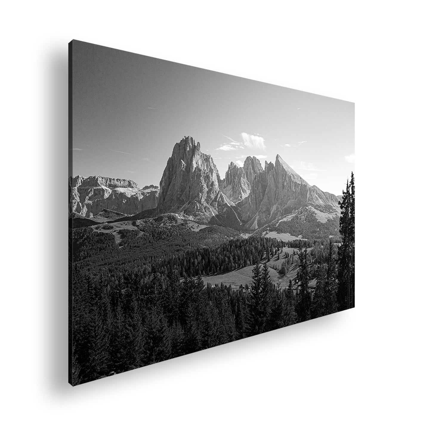 Hauptbild Schwarz & Weiß Standart