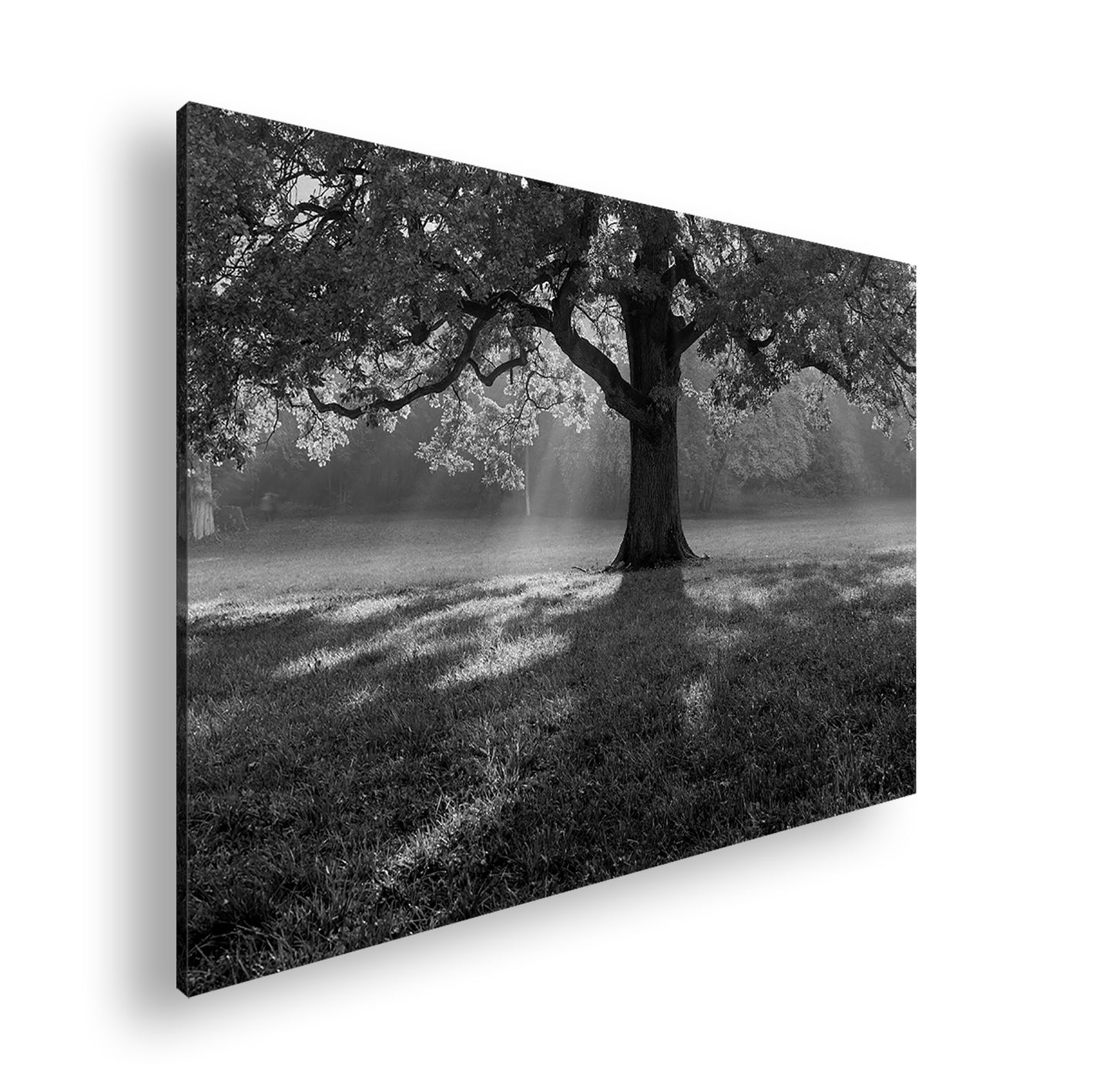 Hauptbild Schwarz & Weiß Standart