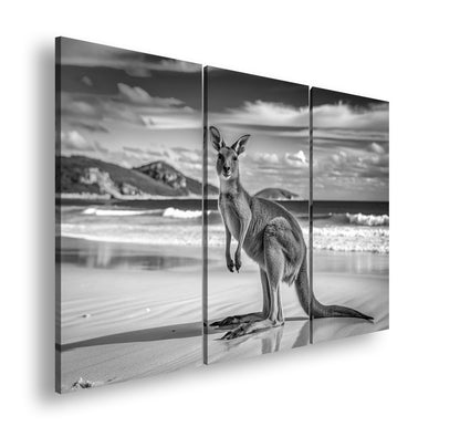 Hauptbild Schwarz & Weiß 3 Teilig