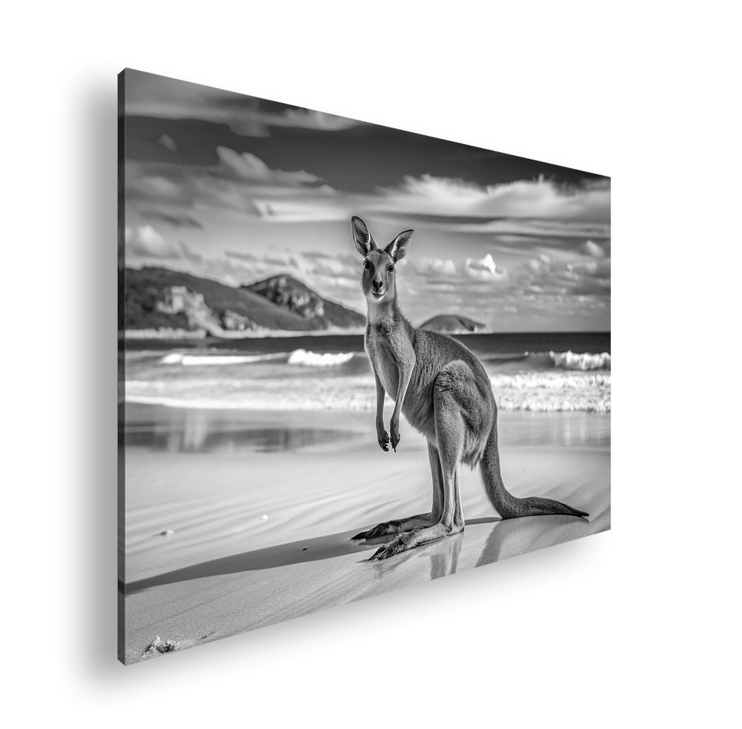 Hauptbild Schwarz & Weiß Standart