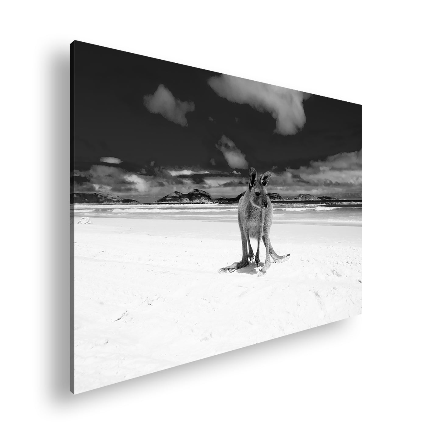 Hauptbild Schwarz & Weiß Standart