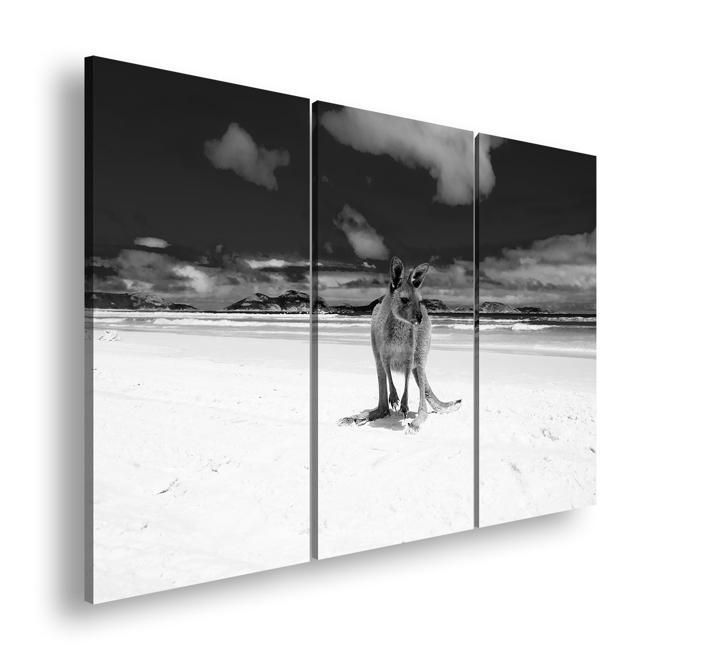 Hauptbild Schwarz & Weiß 3 Teilig