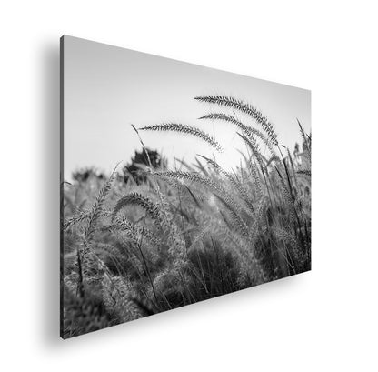 Hauptbild Schwarz & Weiß Standart