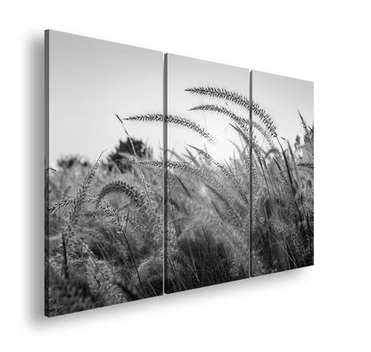 Hauptbild Schwarz & Weiß 3 Teilig