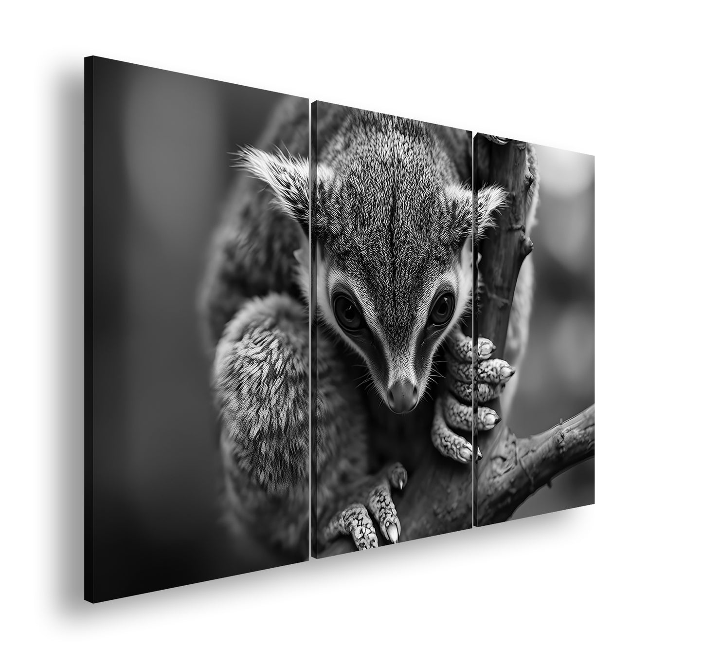 Hauptbild Schwarz & Weiß 3 Teilig