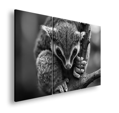 Hauptbild Schwarz & Weiß 3 Teilig