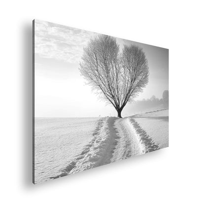 Hauptbild Schwarz & Weiß Standart