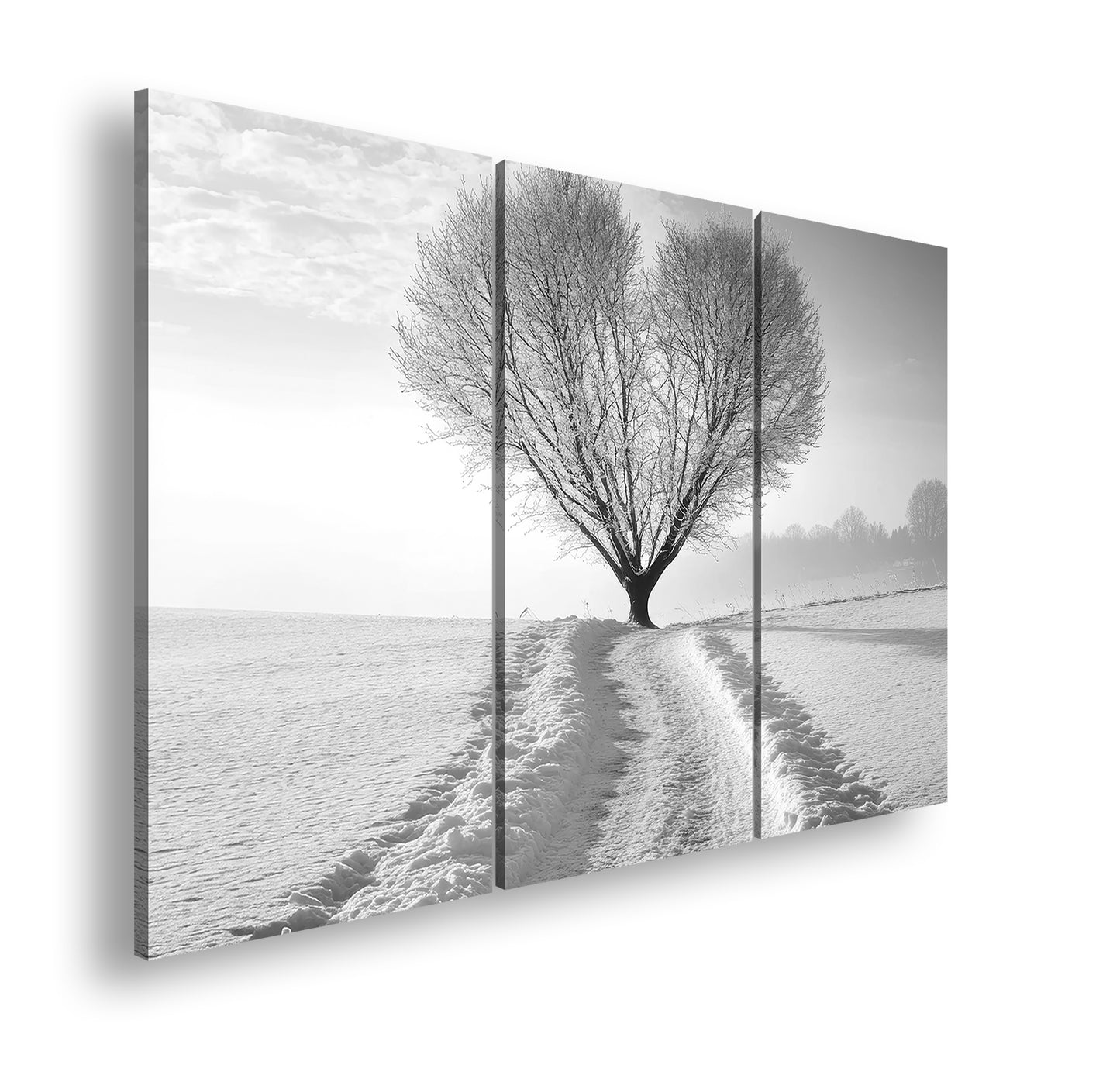 Hauptbild Schwarz & Weiß 3 Teilig