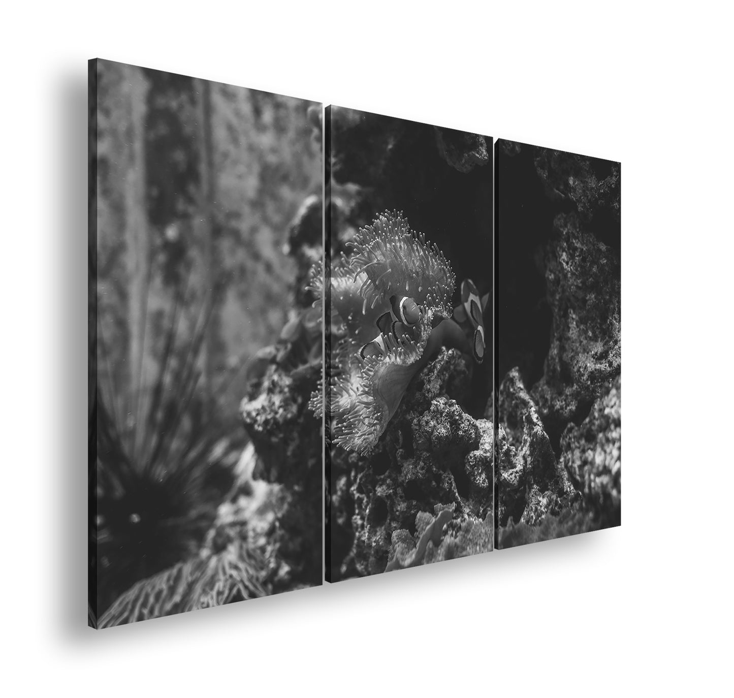 Hauptbild Schwarz & Weiß 3 Teilig