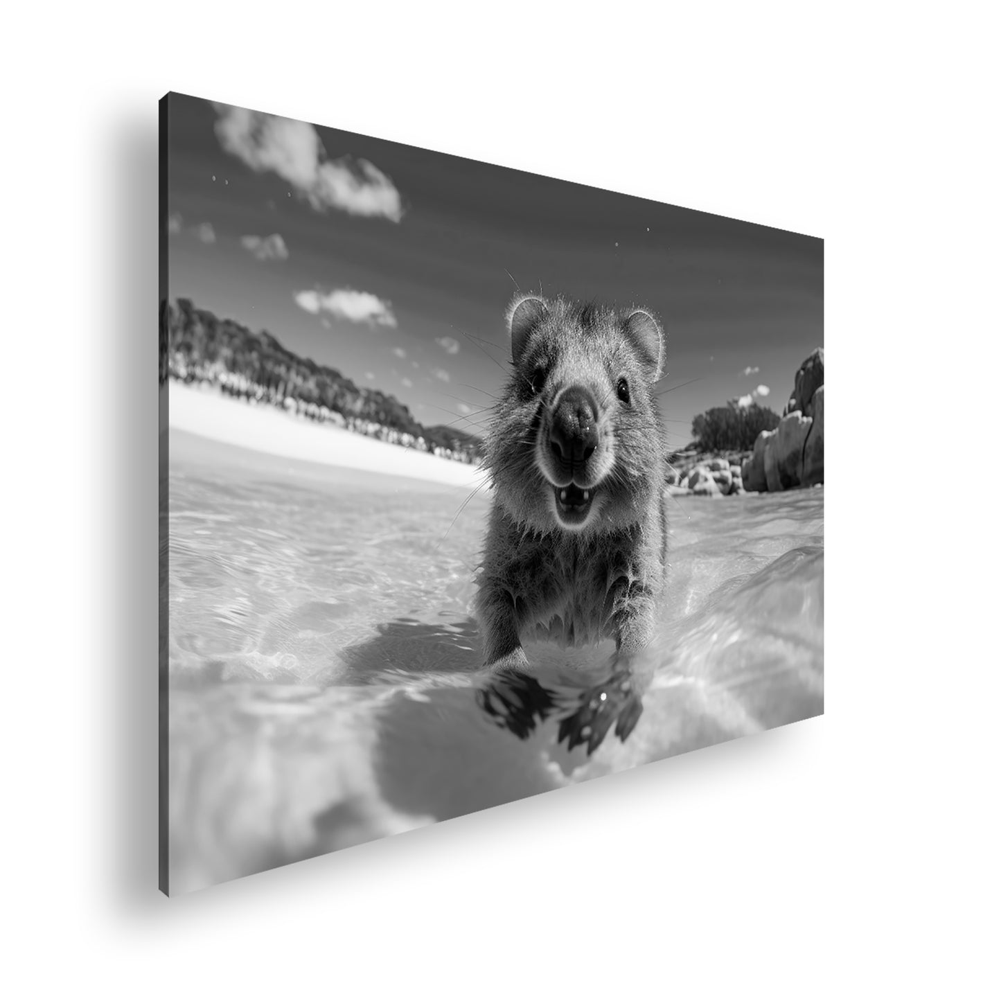 Hauptbild Schwarz & Weiß Standart