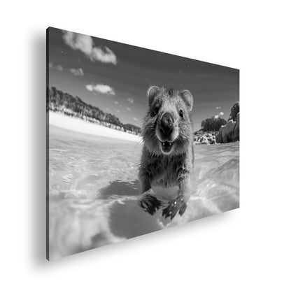 Hauptbild Schwarz & Weiß Standart