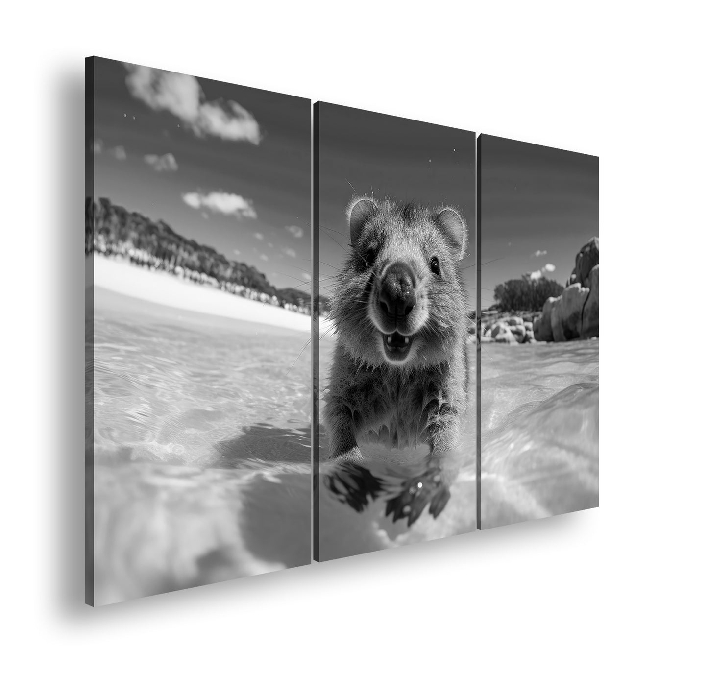 Hauptbild Schwarz & Weiß 3 Teilig