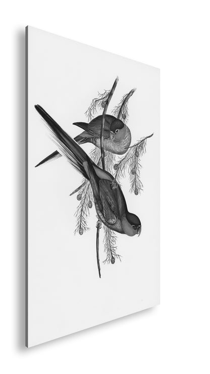 Hauptbild Schwarz & Weiß Standart