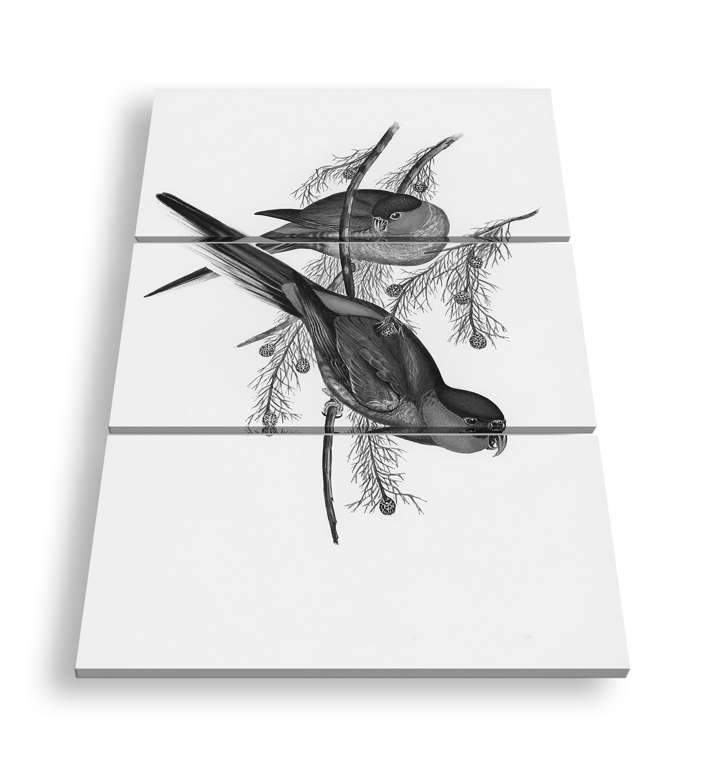 Hauptbild Schwarz & Weiß 3 Teilig