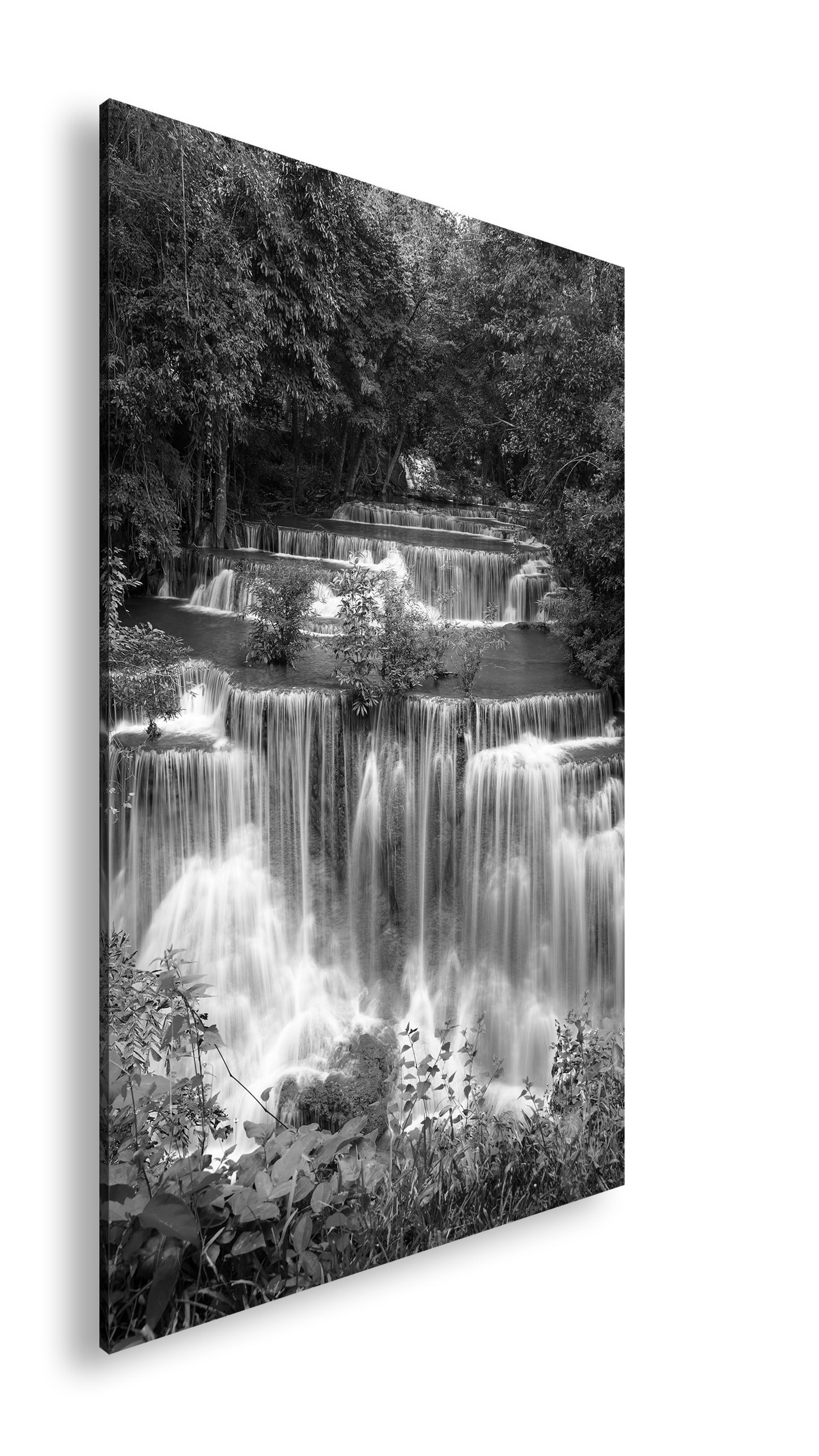 Hauptbild Schwarz & Weiß Standart