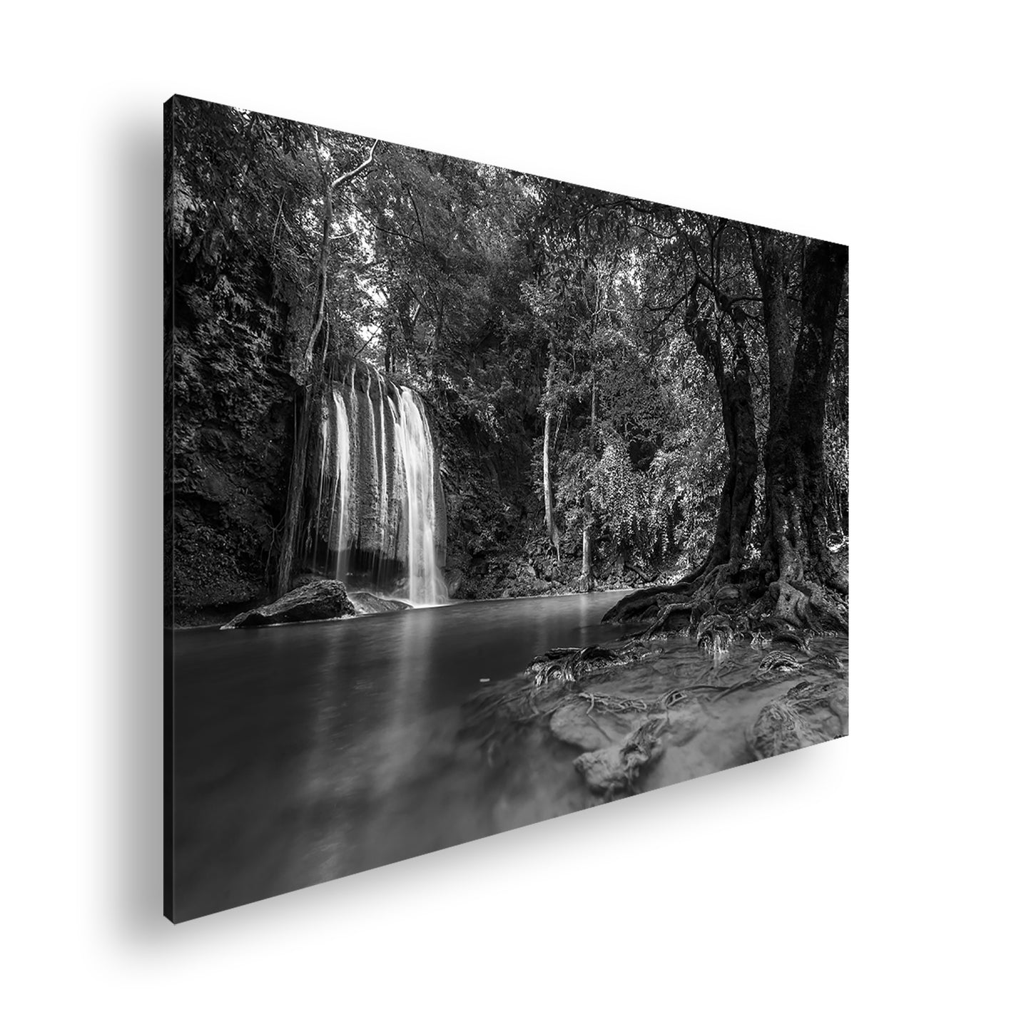 Hauptbild Schwarz & Weiß Standart