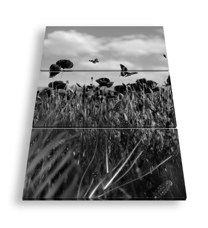 Hauptbild Schwarz & Weiß 3 Teilig