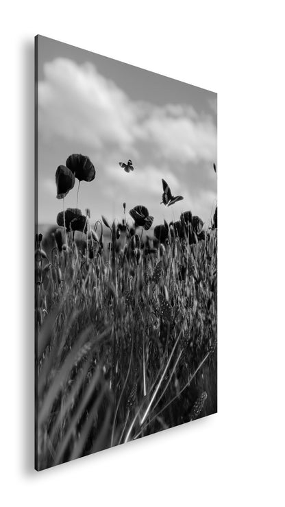 Hauptbild Schwarz & Weiß Standart