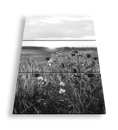 Hauptbild Schwarz & Weiß 3 Teilig