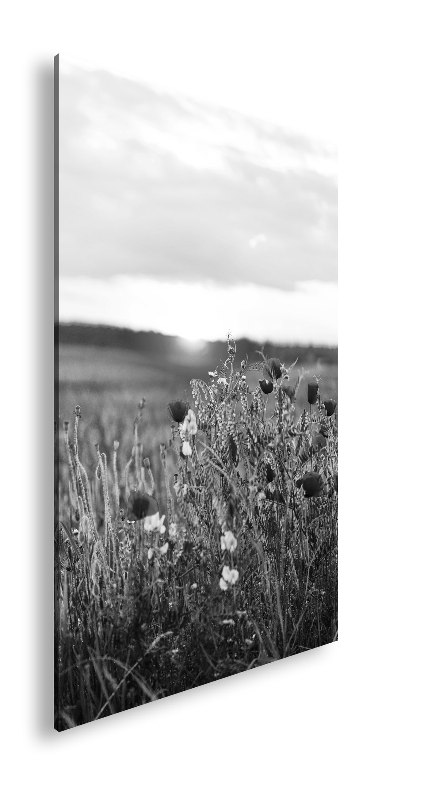 Hauptbild Schwarz & Weiß Standart