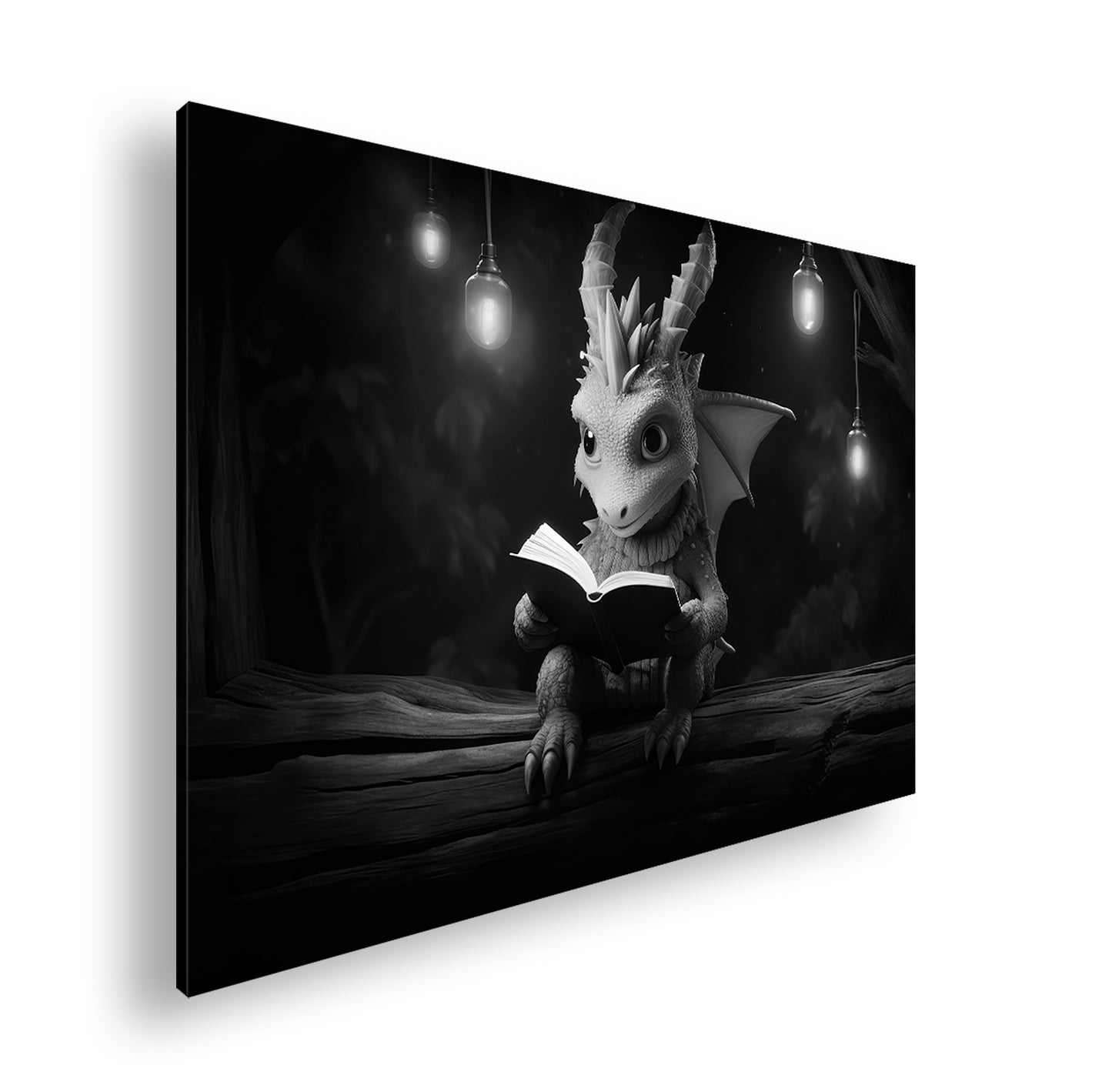 Hauptbild Schwarz & Weiß Standart