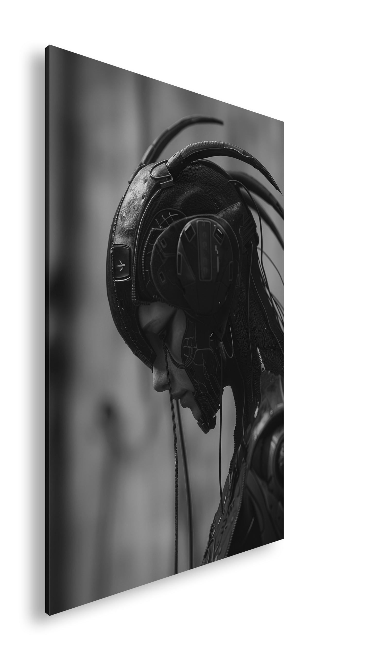 Hauptbild Schwarz & Weiß Standart