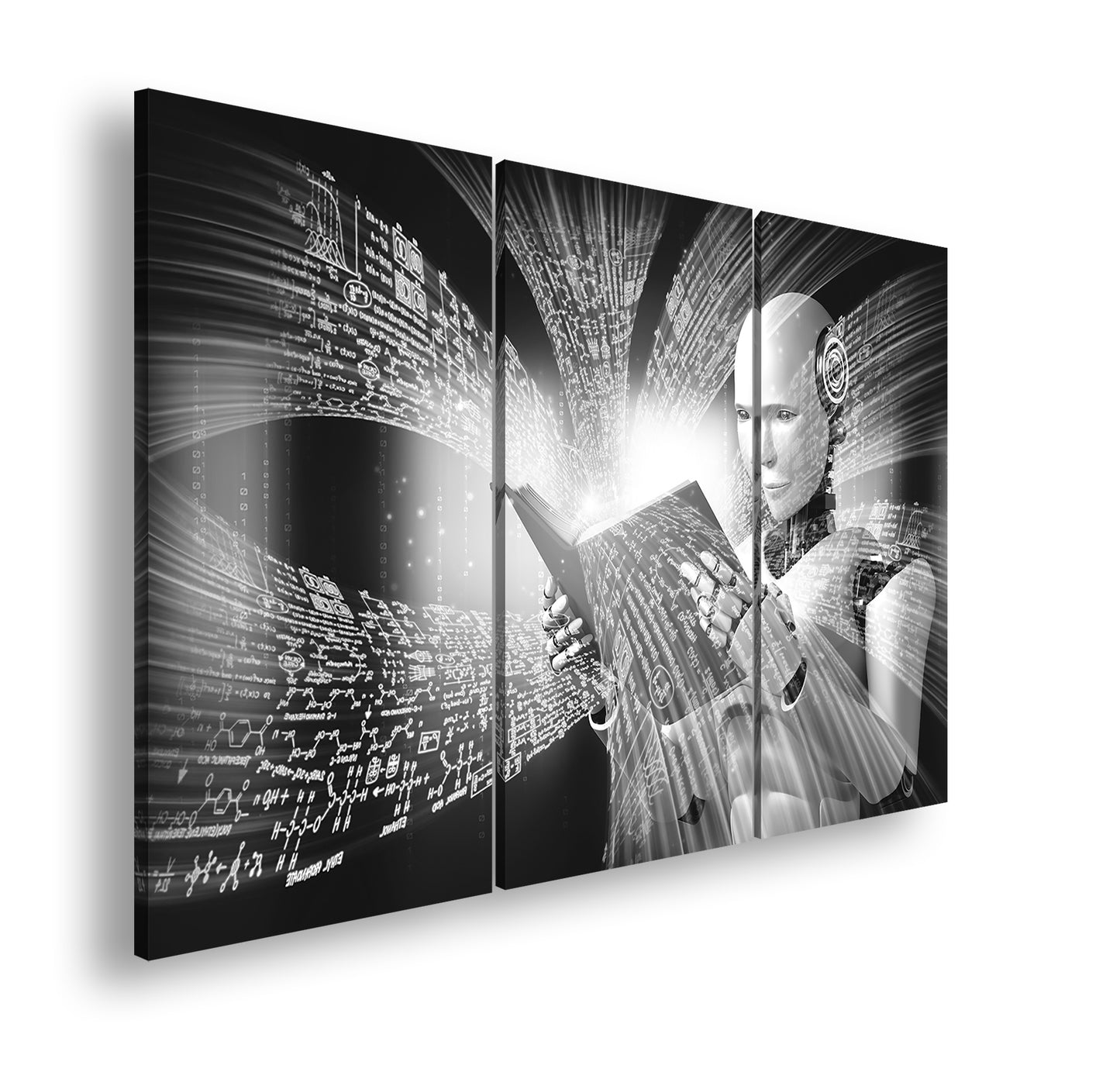 Hauptbild Schwarz & Weiß 3 Teilig