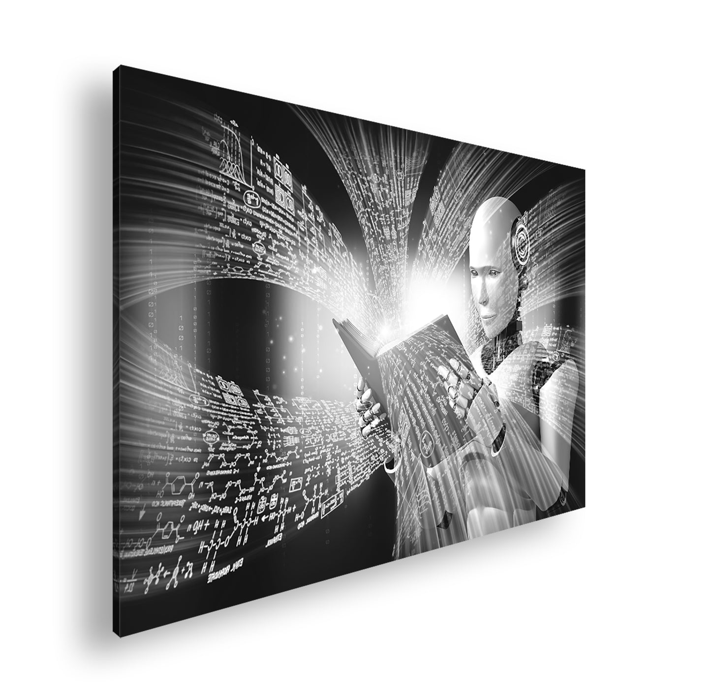 Hauptbild Schwarz & Weiß Standart