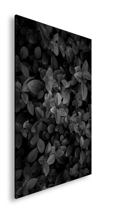 Hauptbild Schwarz & Weiß Standart