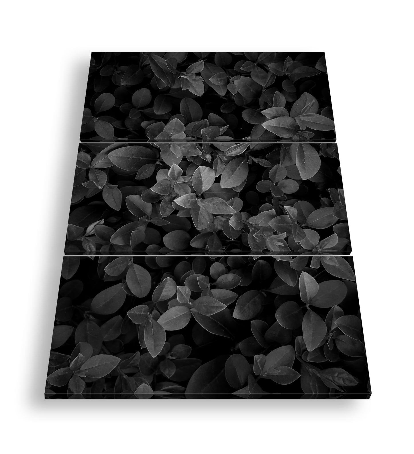 Hauptbild Schwarz & Weiß 3 Teilig