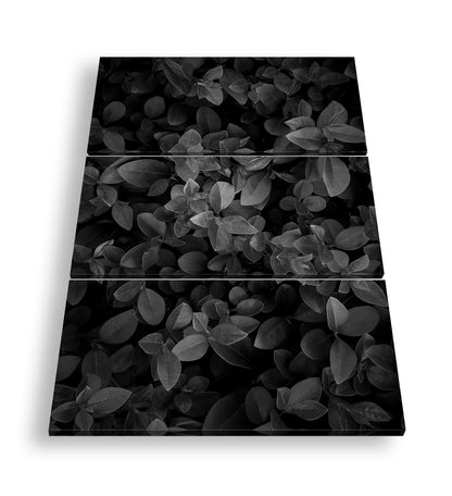 Hauptbild Schwarz & Weiß 3 Teilig