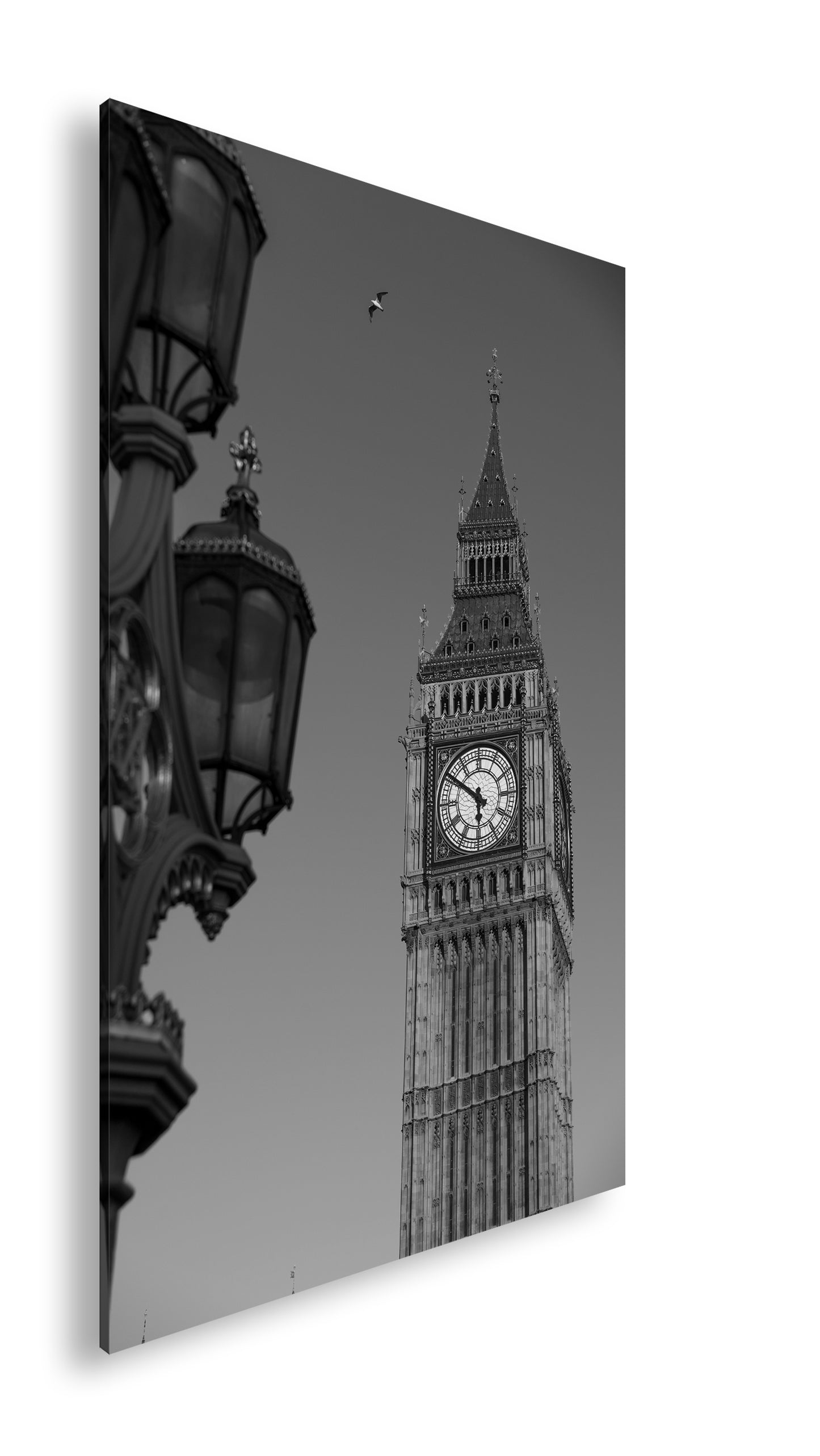 Hauptbild Schwarz & Weiß Standart