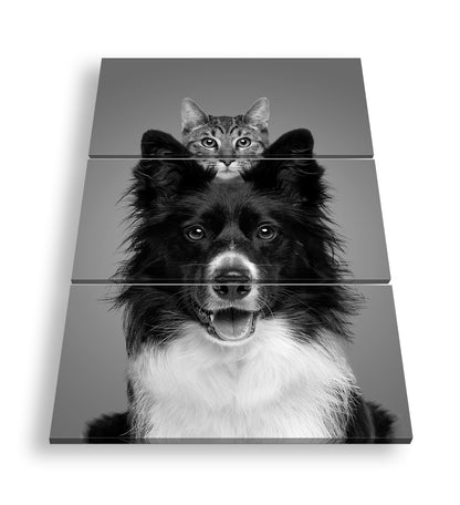 Hauptbild Schwarz & Weiß 3 Teilig