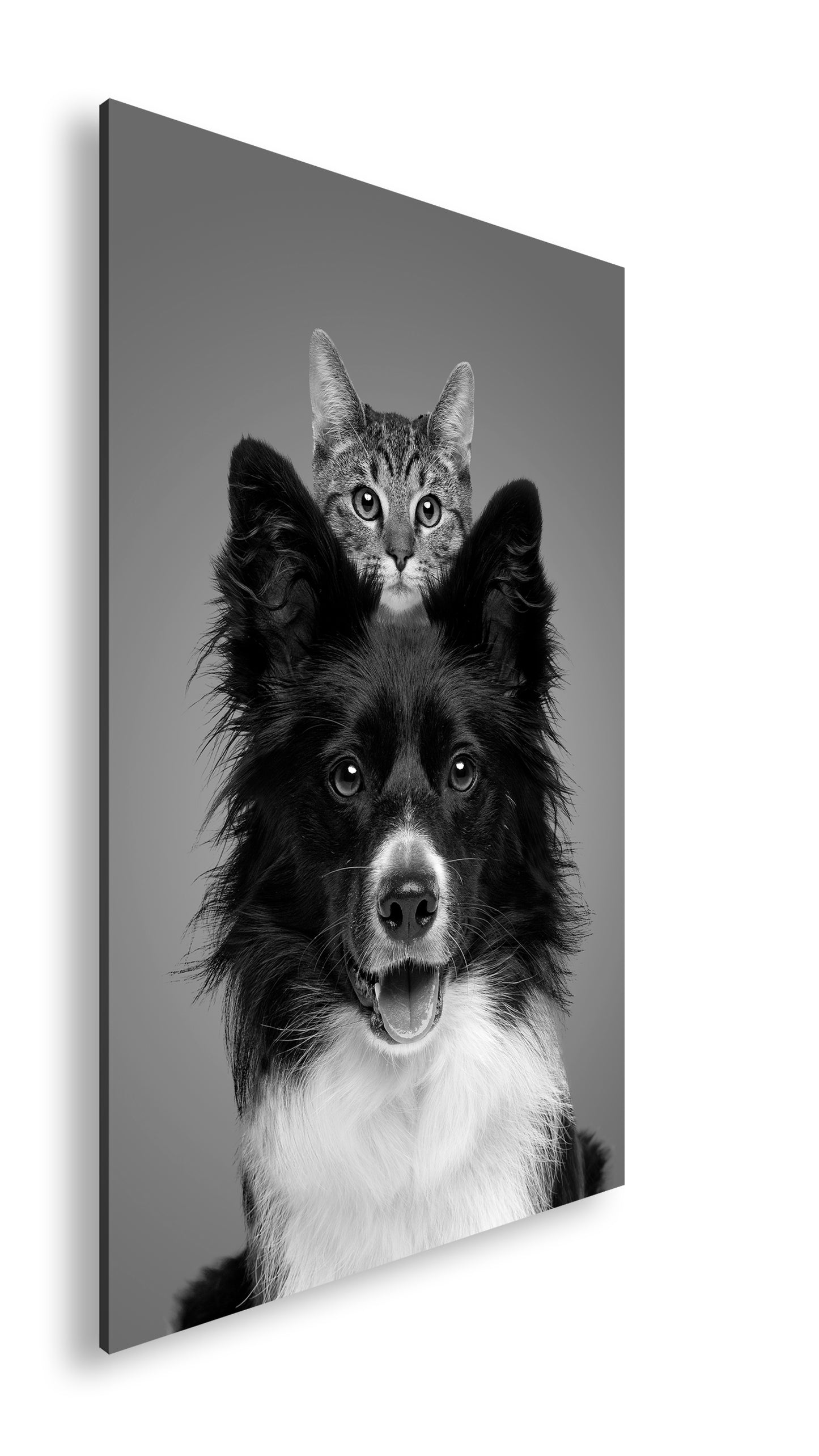 Hauptbild Schwarz & Weiß Standart