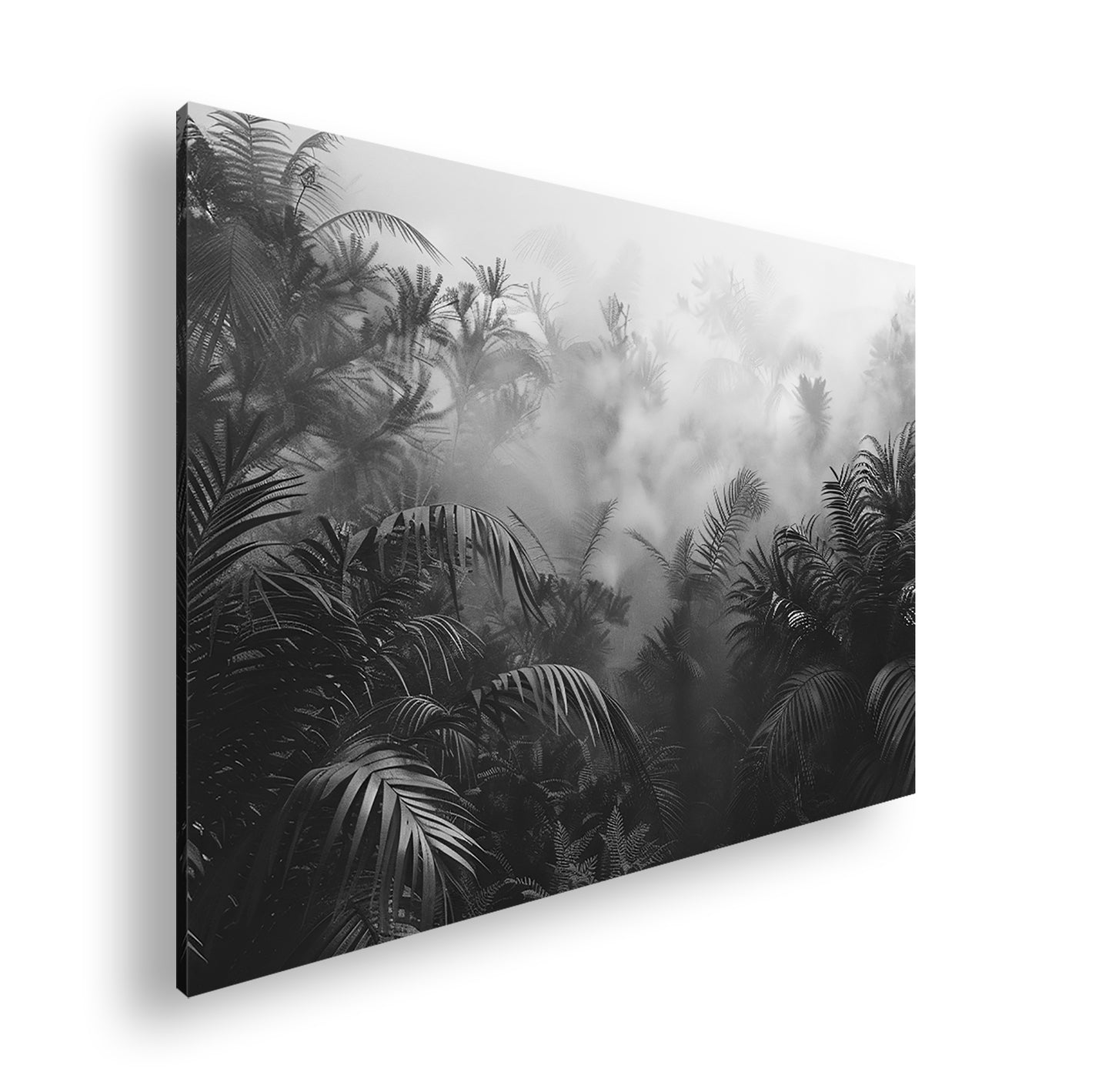 Hauptbild Schwarz & Weiß Standart