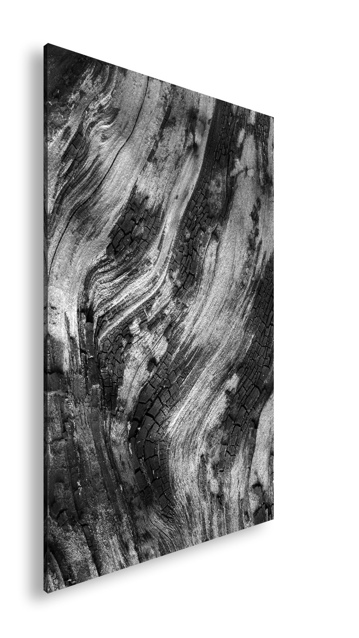 Hauptbild Schwarz & Weiß Standart