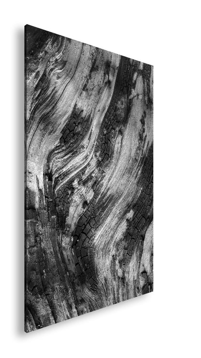 Hauptbild Schwarz & Weiß Standart