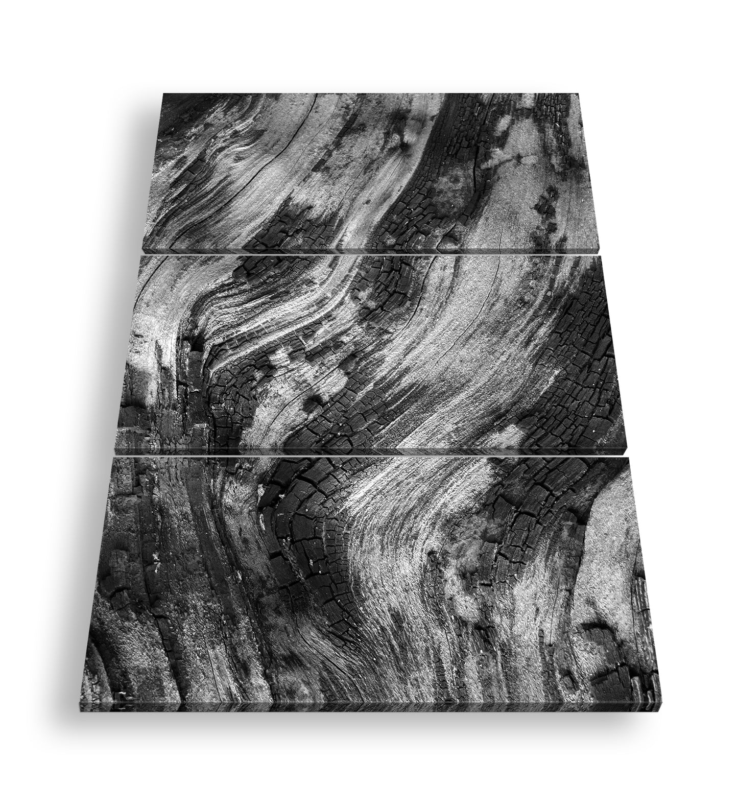 Hauptbild Schwarz & Weiß 3 Teilig