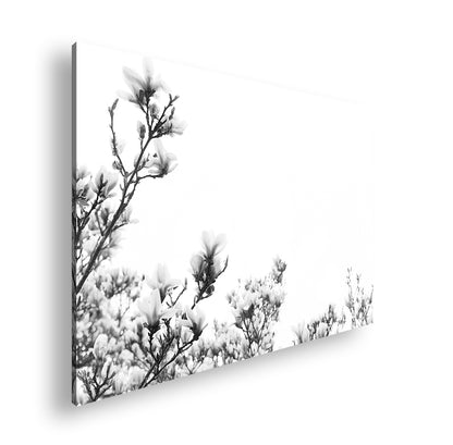 Hauptbild Schwarz & Weiß Standart